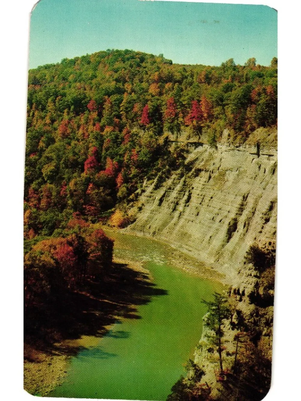 Letchworth Canyon Grand Canyon Of The East 1950s Postcard Autumn Scene Chrome